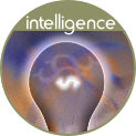 intelligence